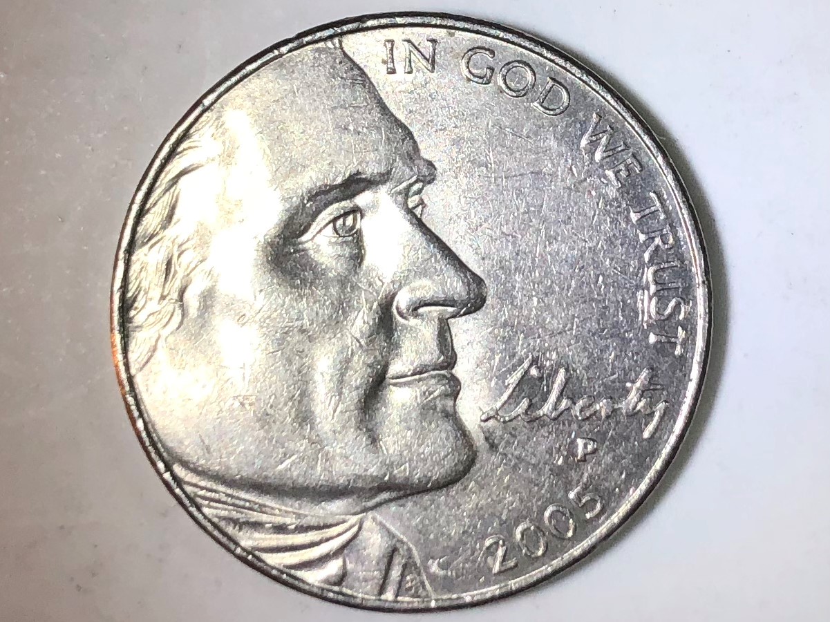 2005bison.jpg