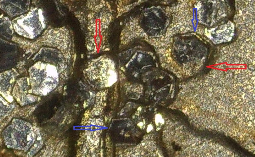 2005nickel-close.jpg