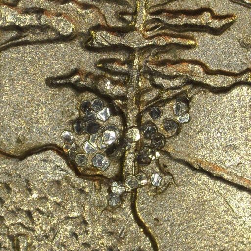 2005nickel.jpg