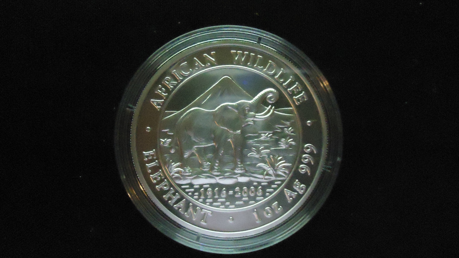 2006.JPG