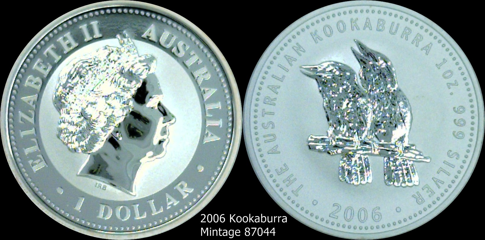 2006 Kookaburra.jpg