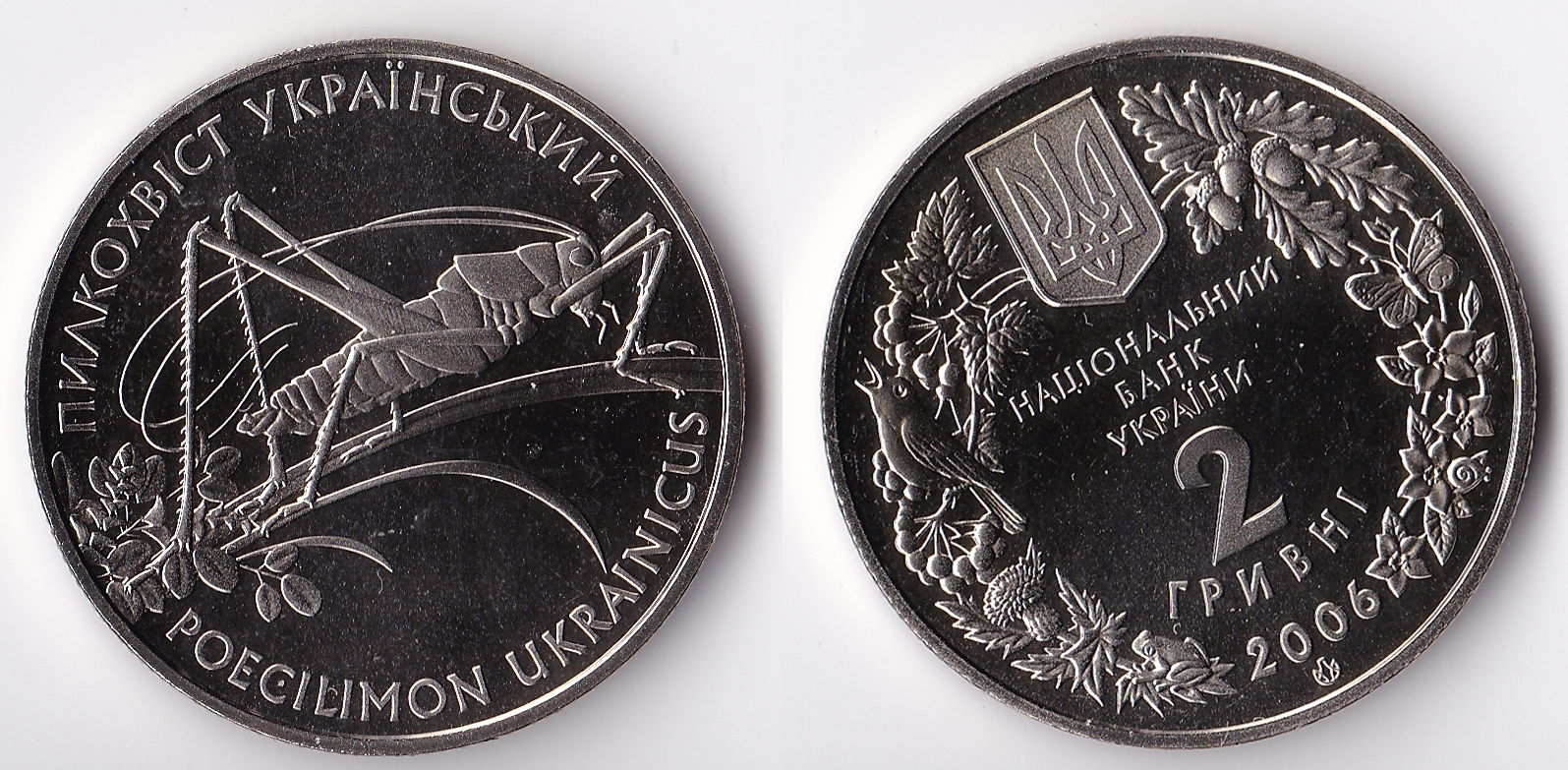 2006 ukraine 2 hryvni.jpg