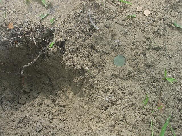 2007-09-25d-1909-Cent-In-Hole.jpg
