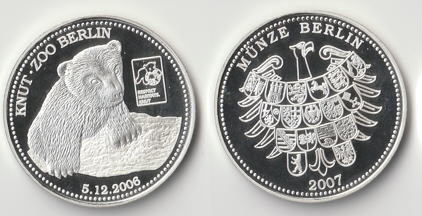 2007 berlin zoo knut.jpg