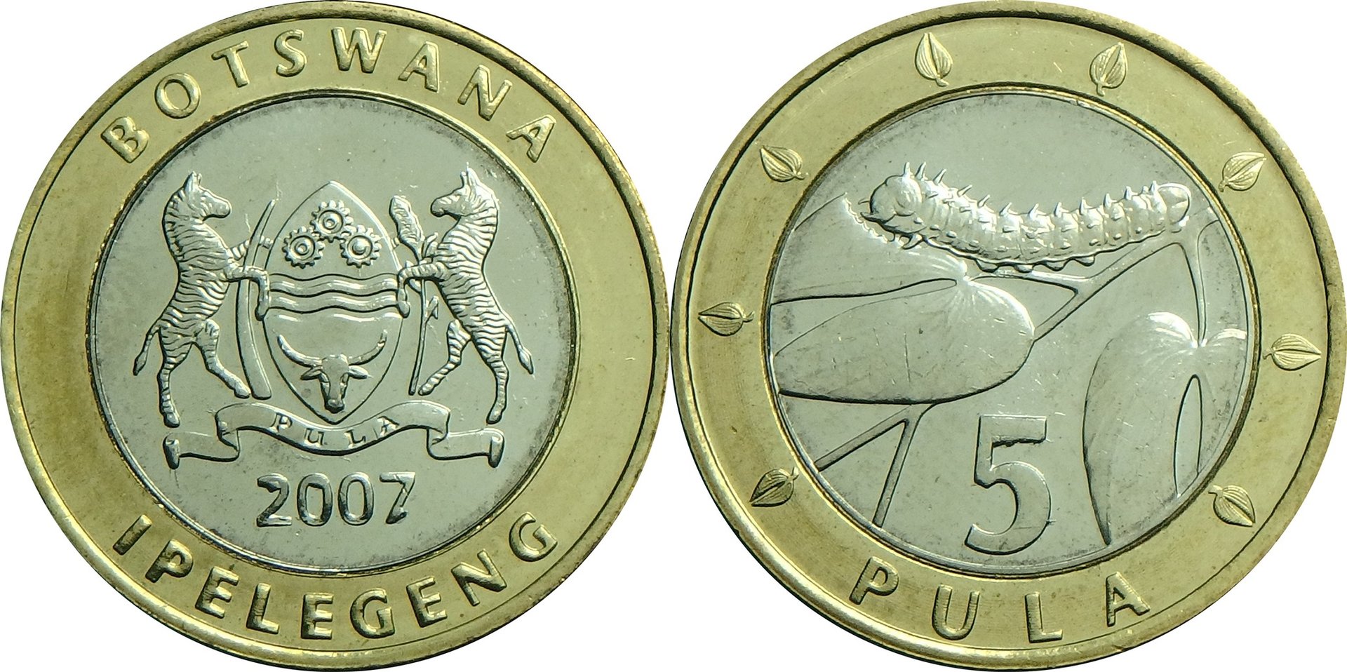 2007 BW 5 p.jpg