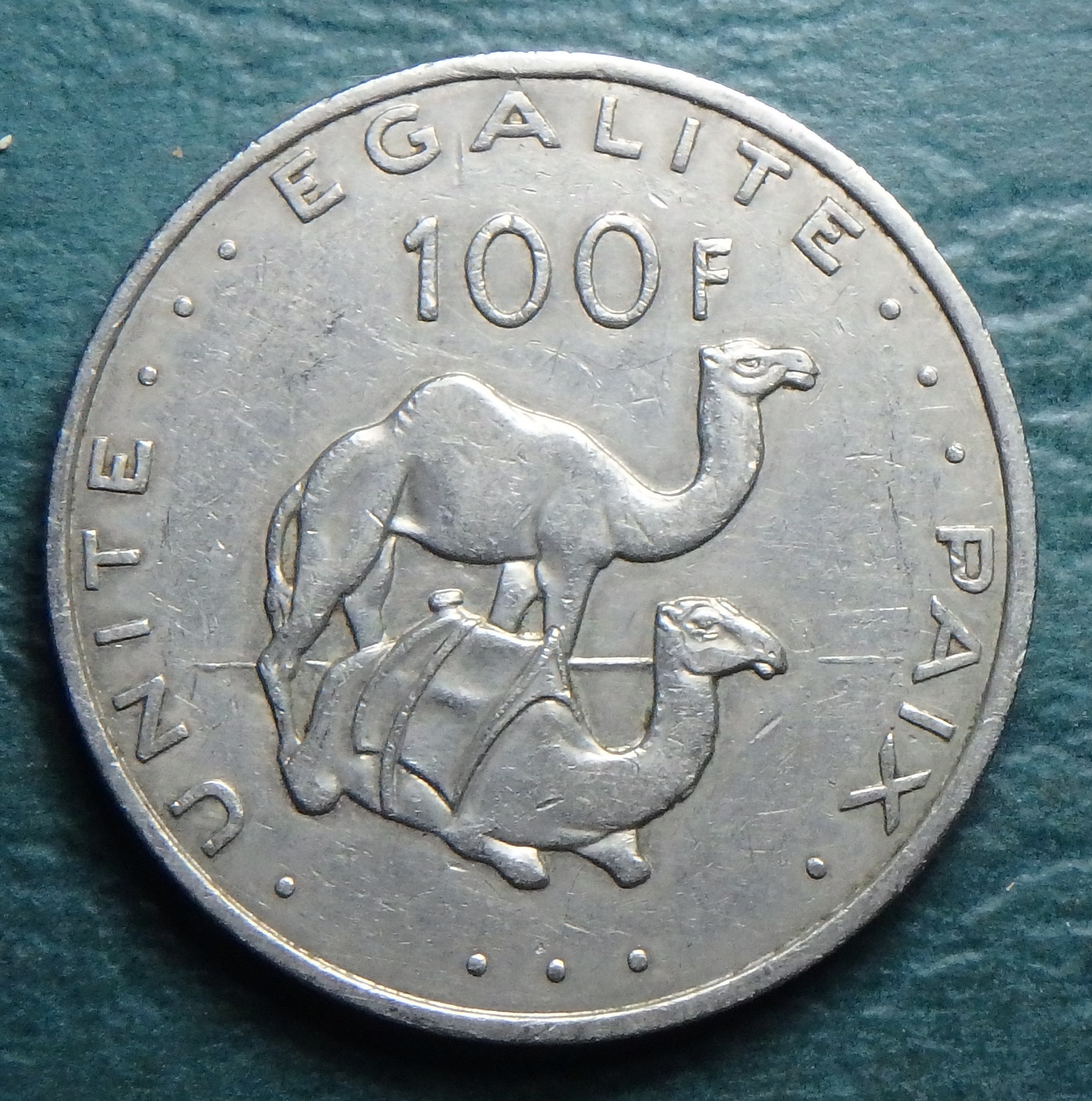 2007 DJ 100 f rev.JPG
