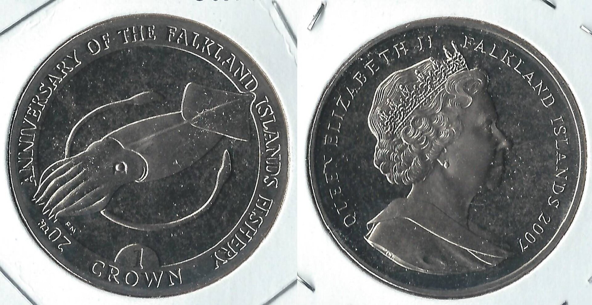 2007 falklands 1 crown.jpg