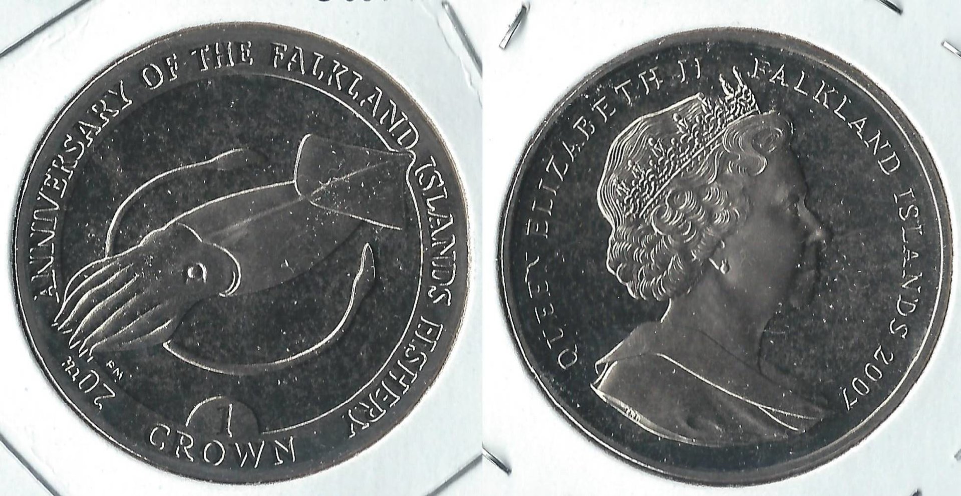 2007 falklands 1 crown.jpg