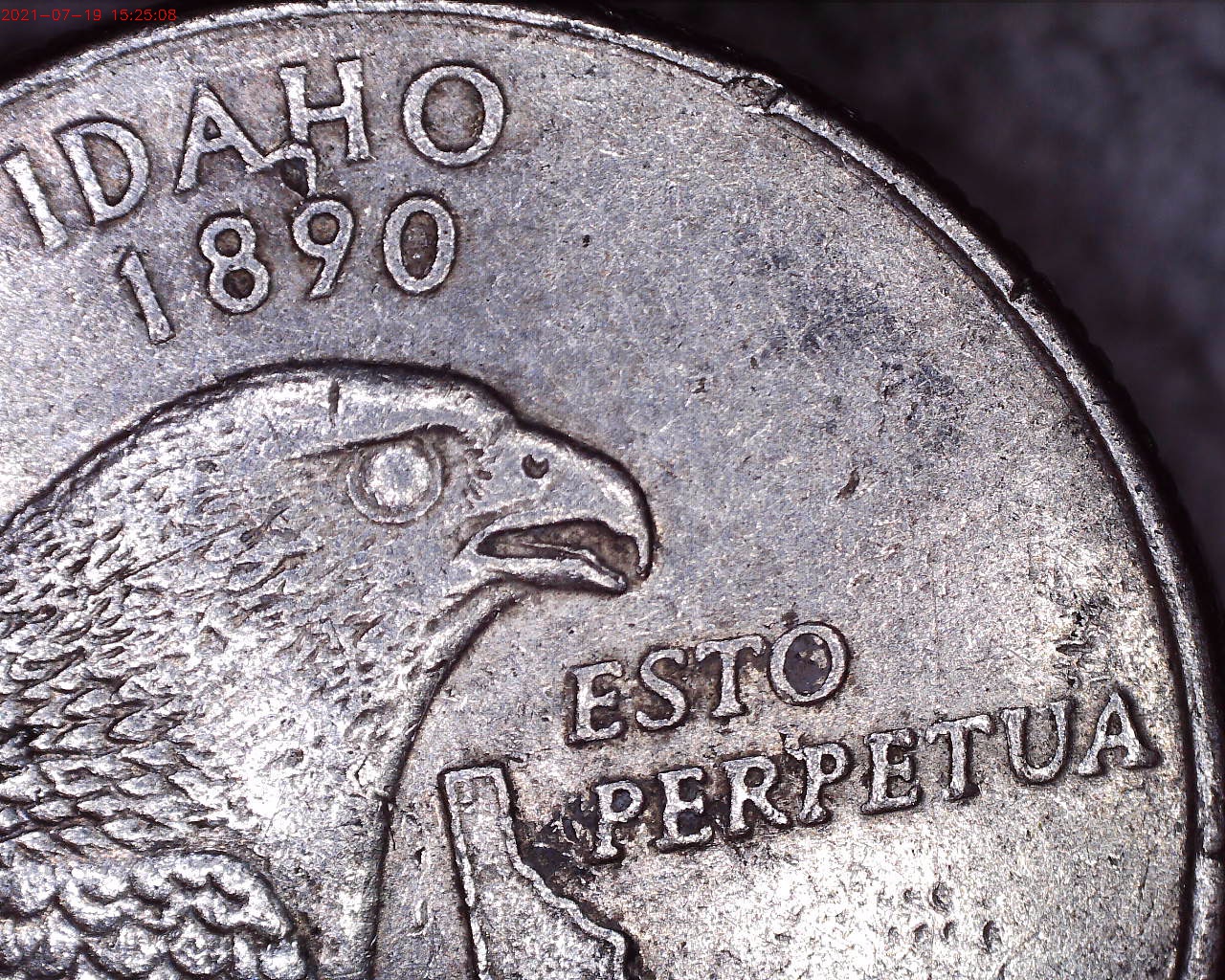 2007 Idaho closeup on reverse.jpg