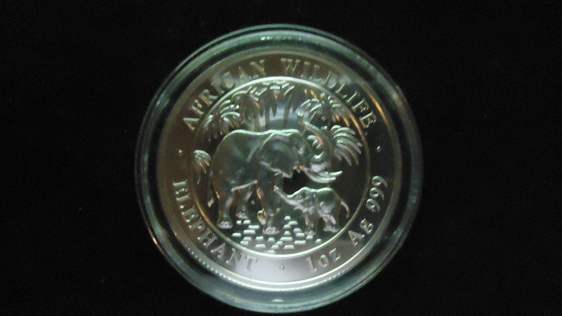 2007.JPG