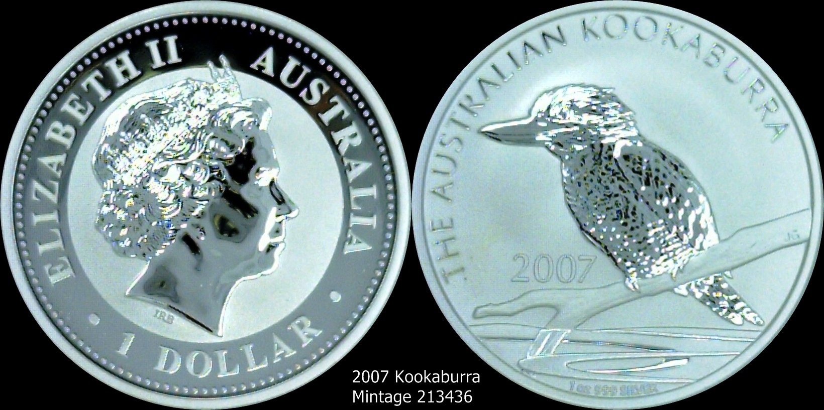 2007 Kookaburra.jpg