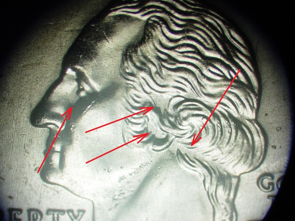 2007-P Montana Separated Hair-02 AnnotatedD.jpg