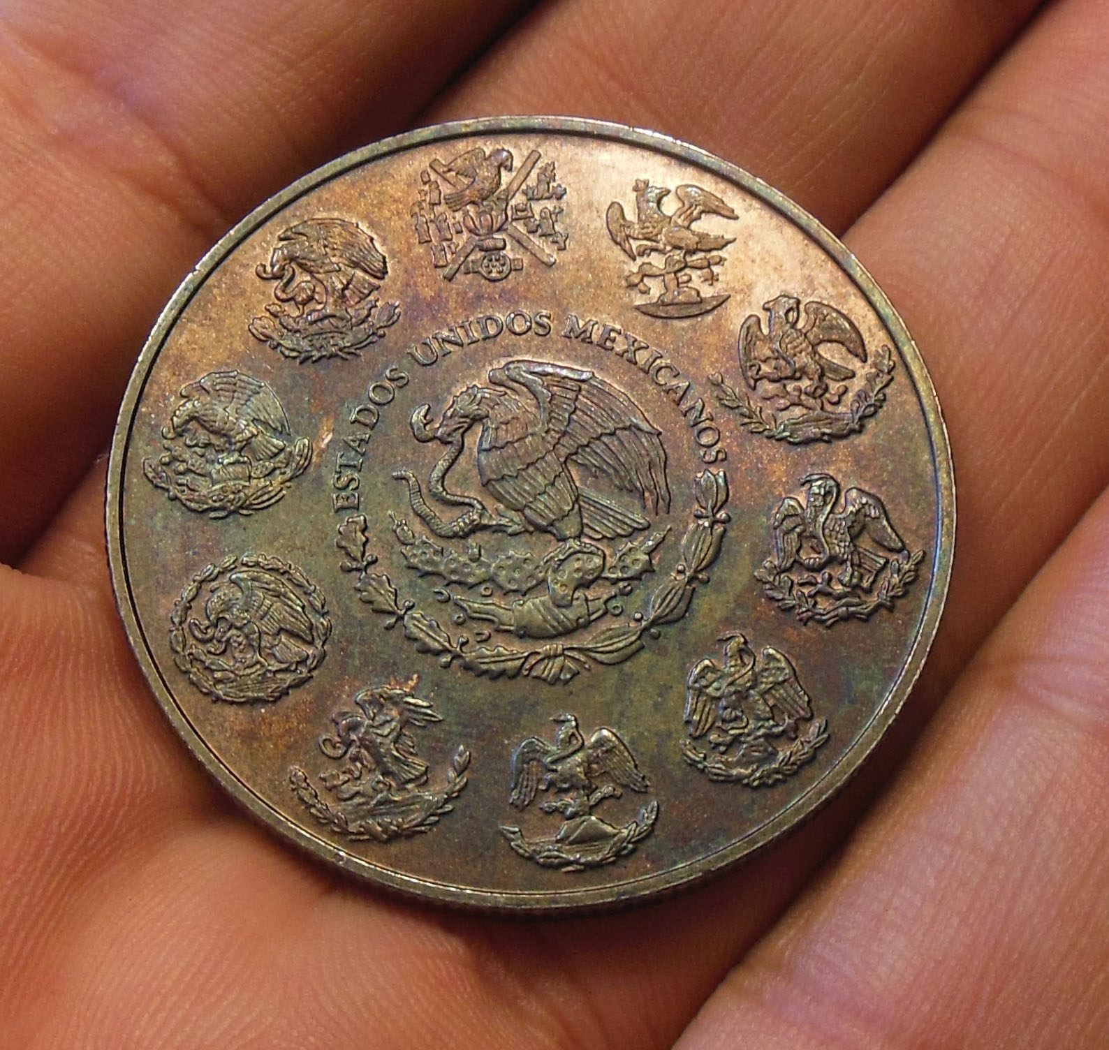 2007c.jpg