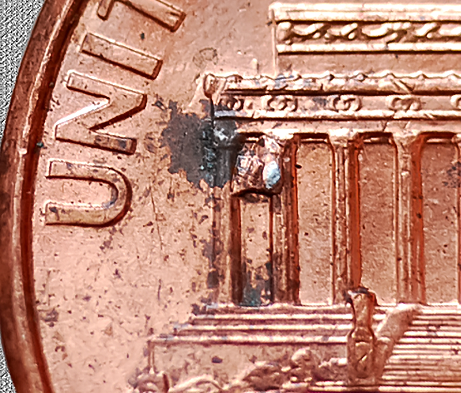 2007crop.jpg