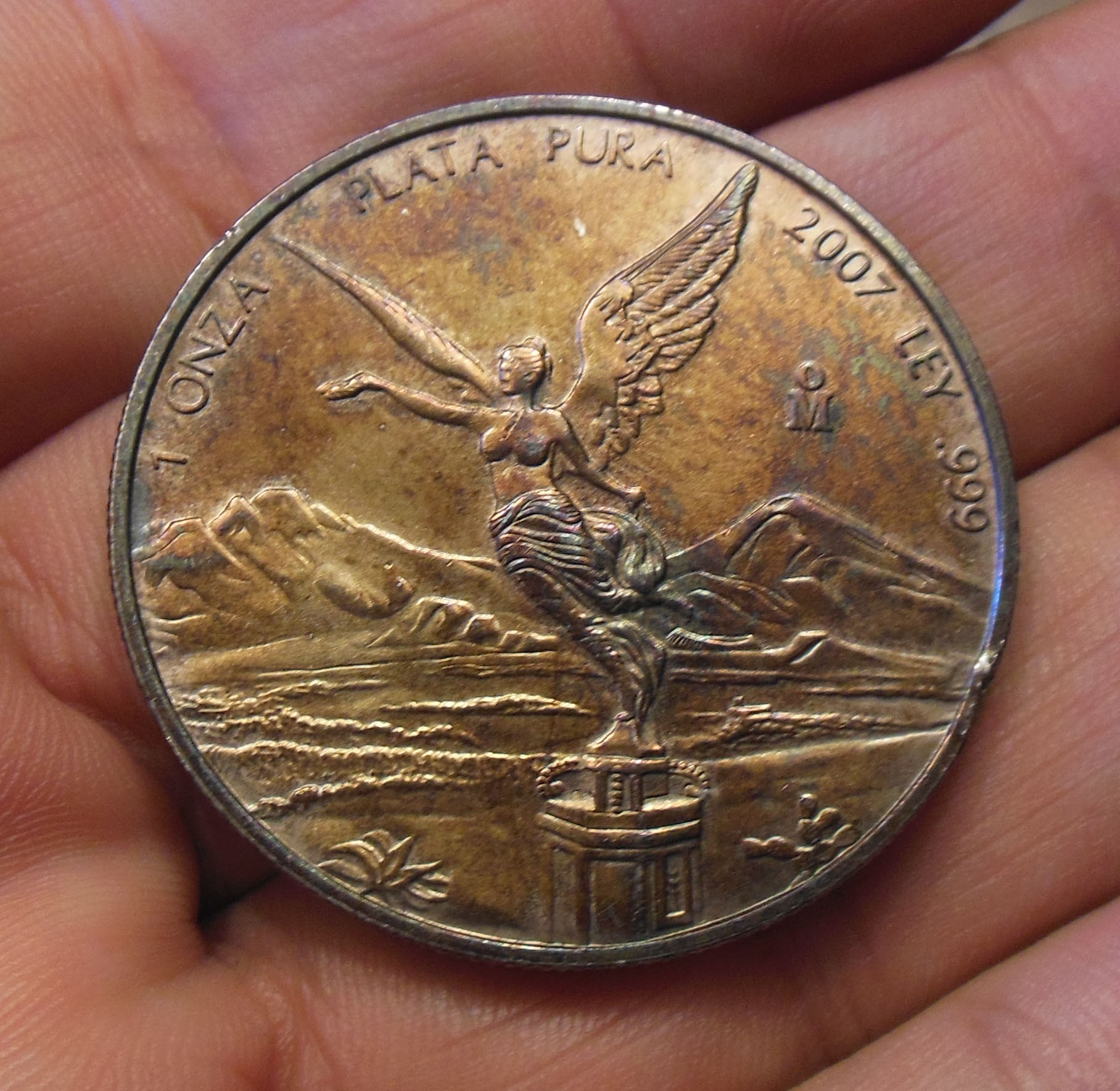 2007d.jpg