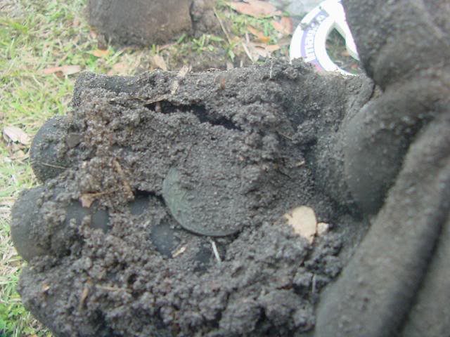 2008-01-10g-Medal-Dig2.jpg