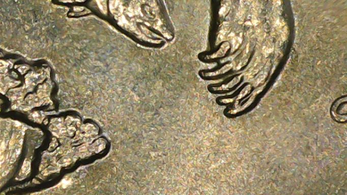 2008 Alaska bear Claw issue1.jpg