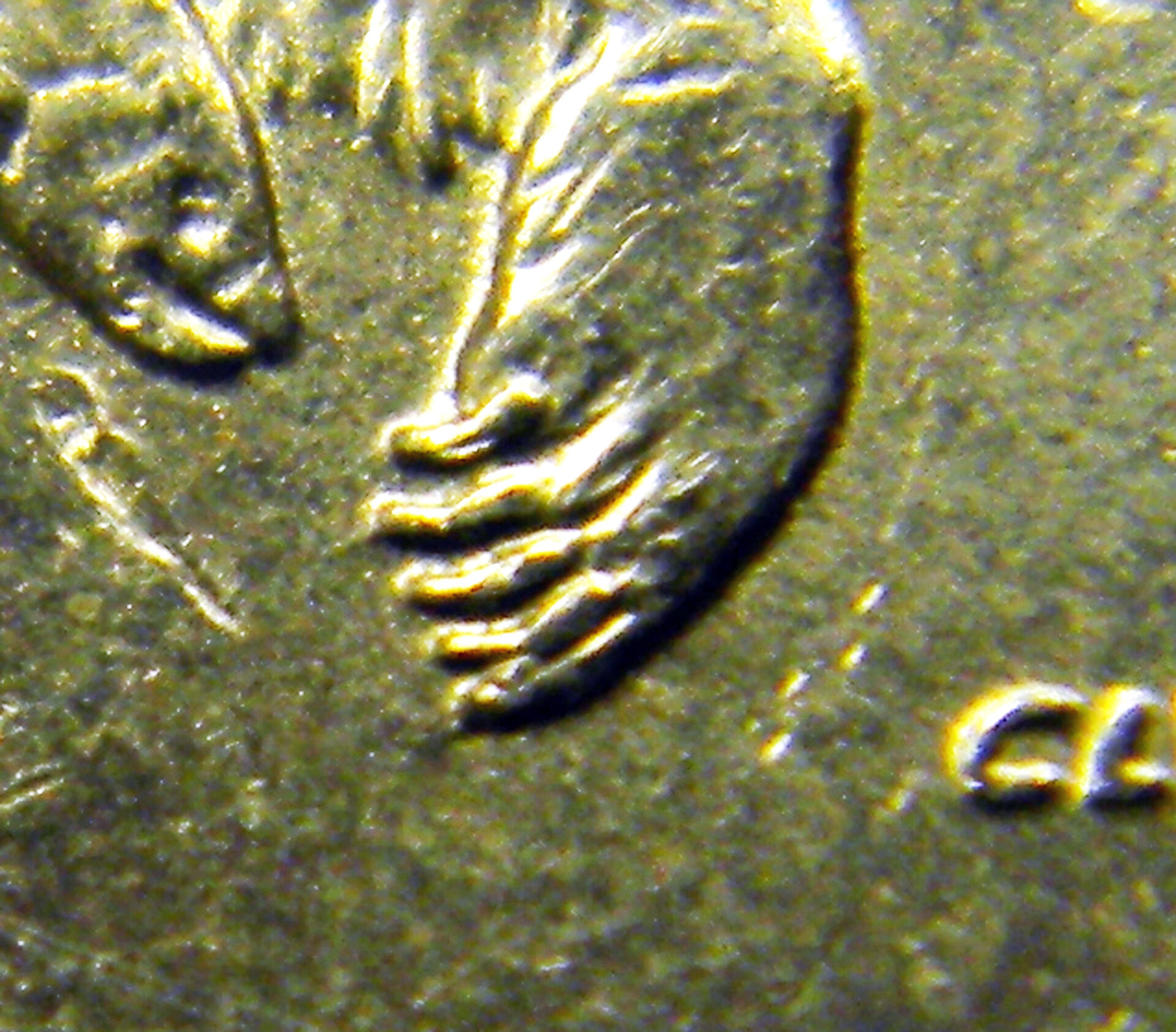 2008 Alaska State Quarter (CloseUpClaw).jpg