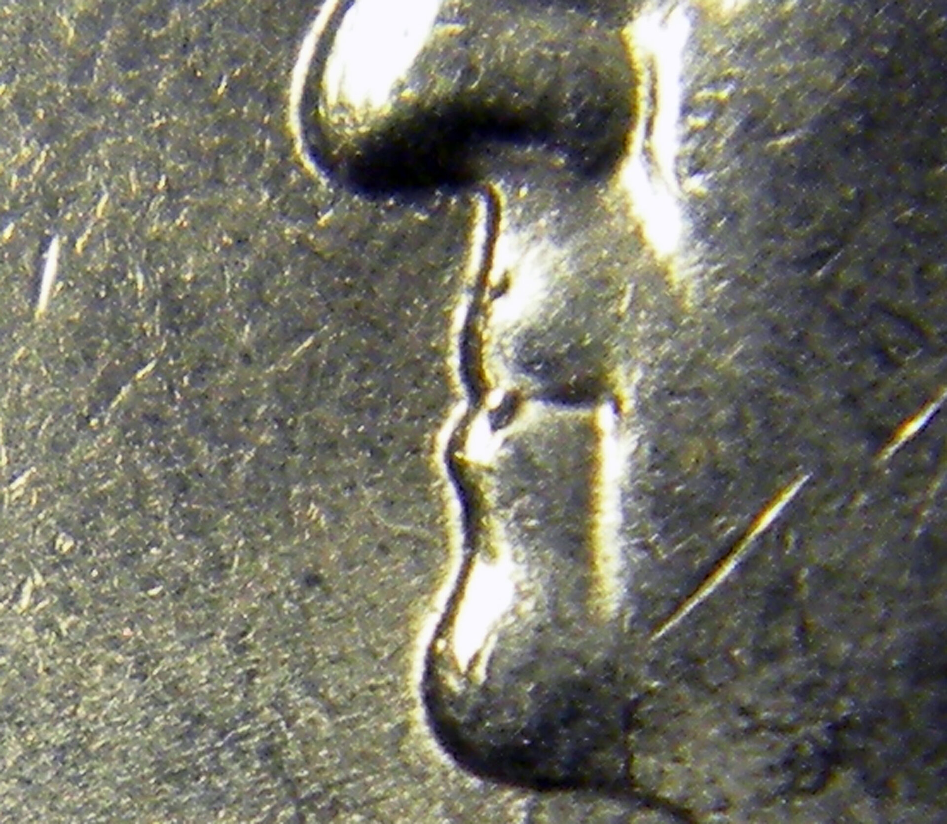2008 Alaska State Quarter (CloseUpLips).jpg