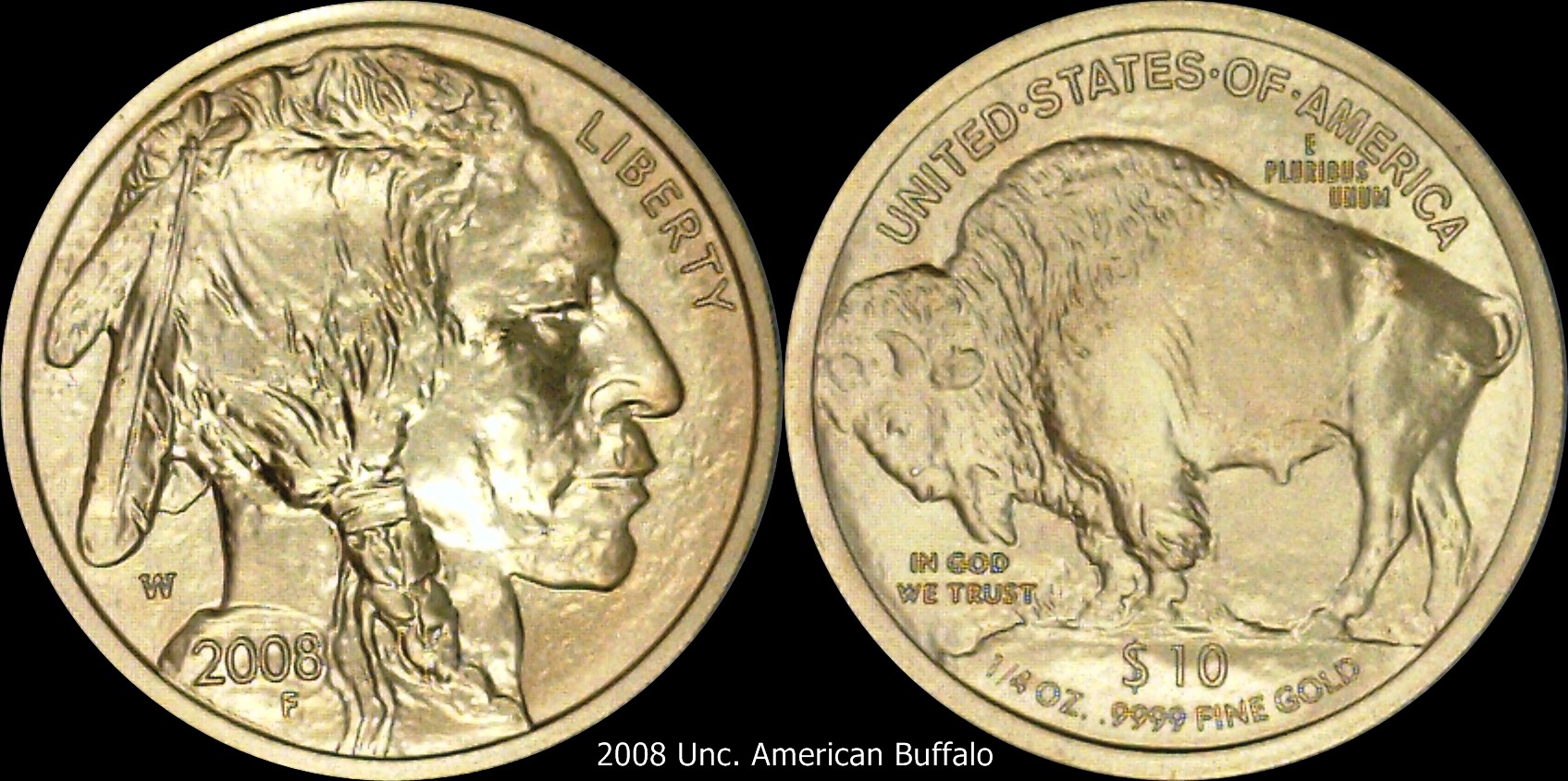 2008 American Buffalo 10.jpg