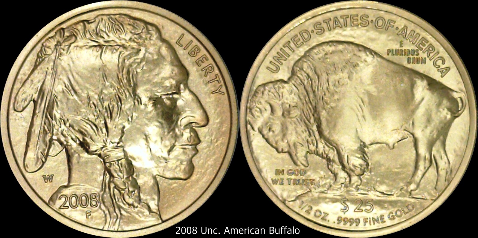 2008 American Buffalo 25.jpg
