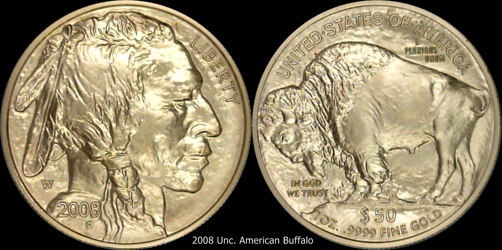 2008 American Buffalo  50.jpg