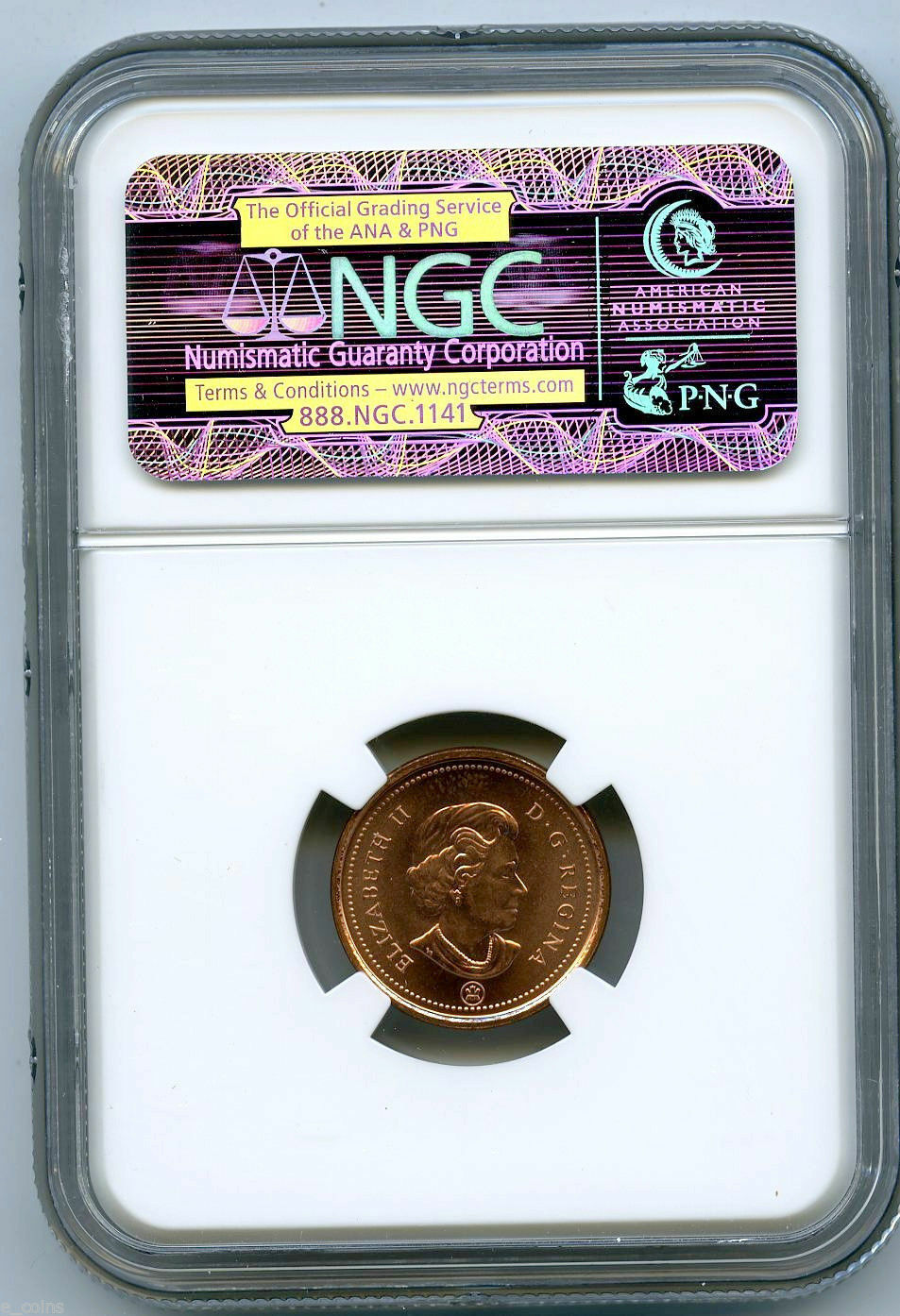2008 b.jpg