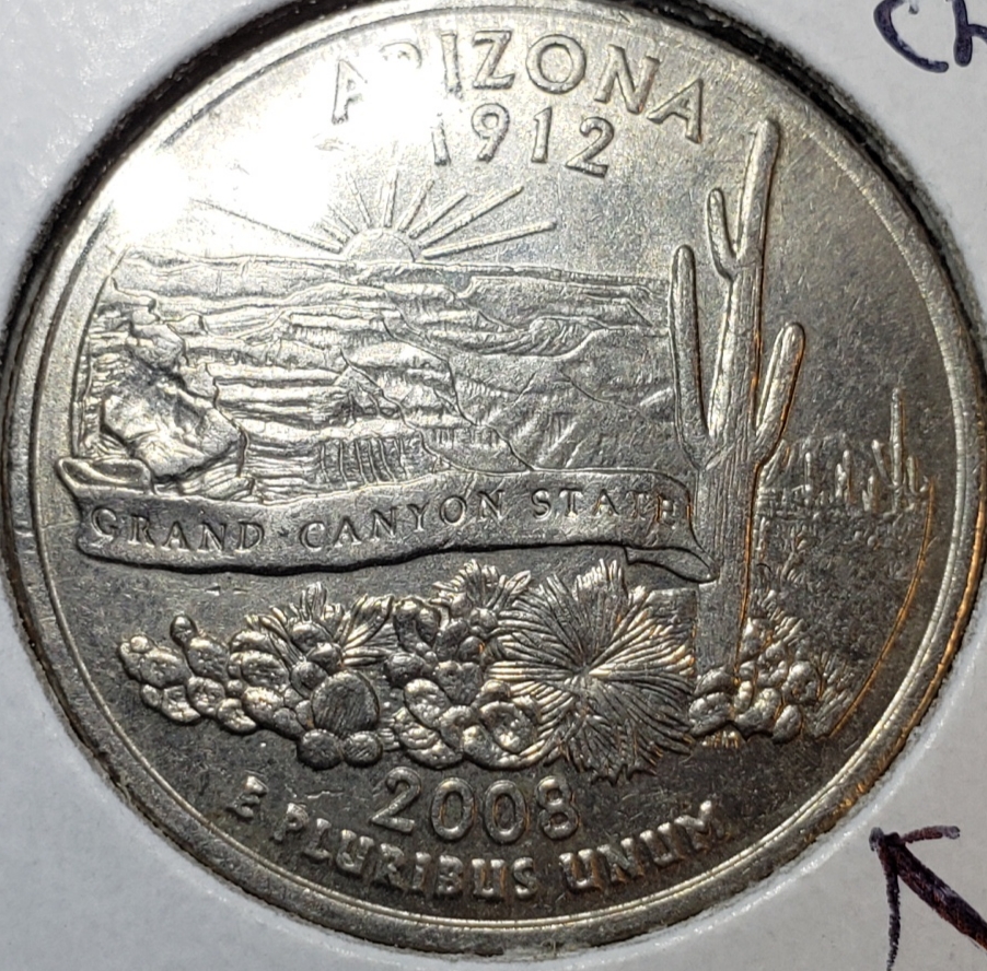 2008 cactus02.jpg
