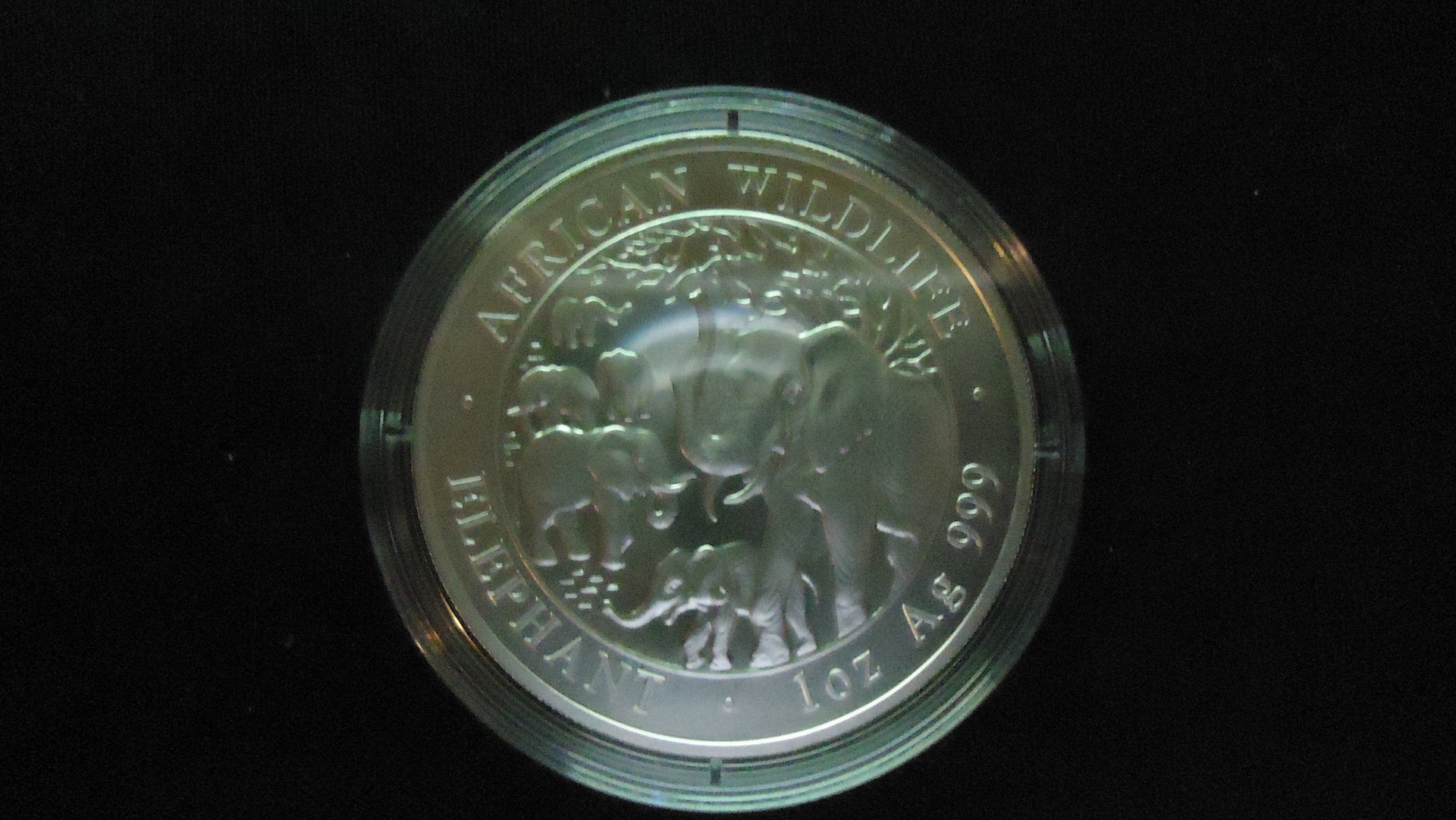 2008.JPG