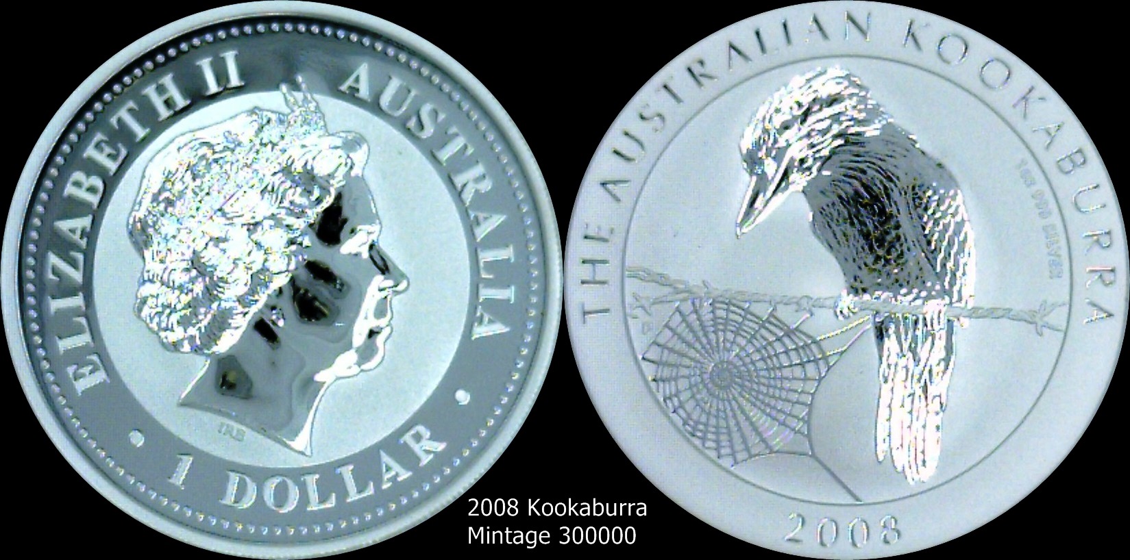 2008 Kookaburra.jpg