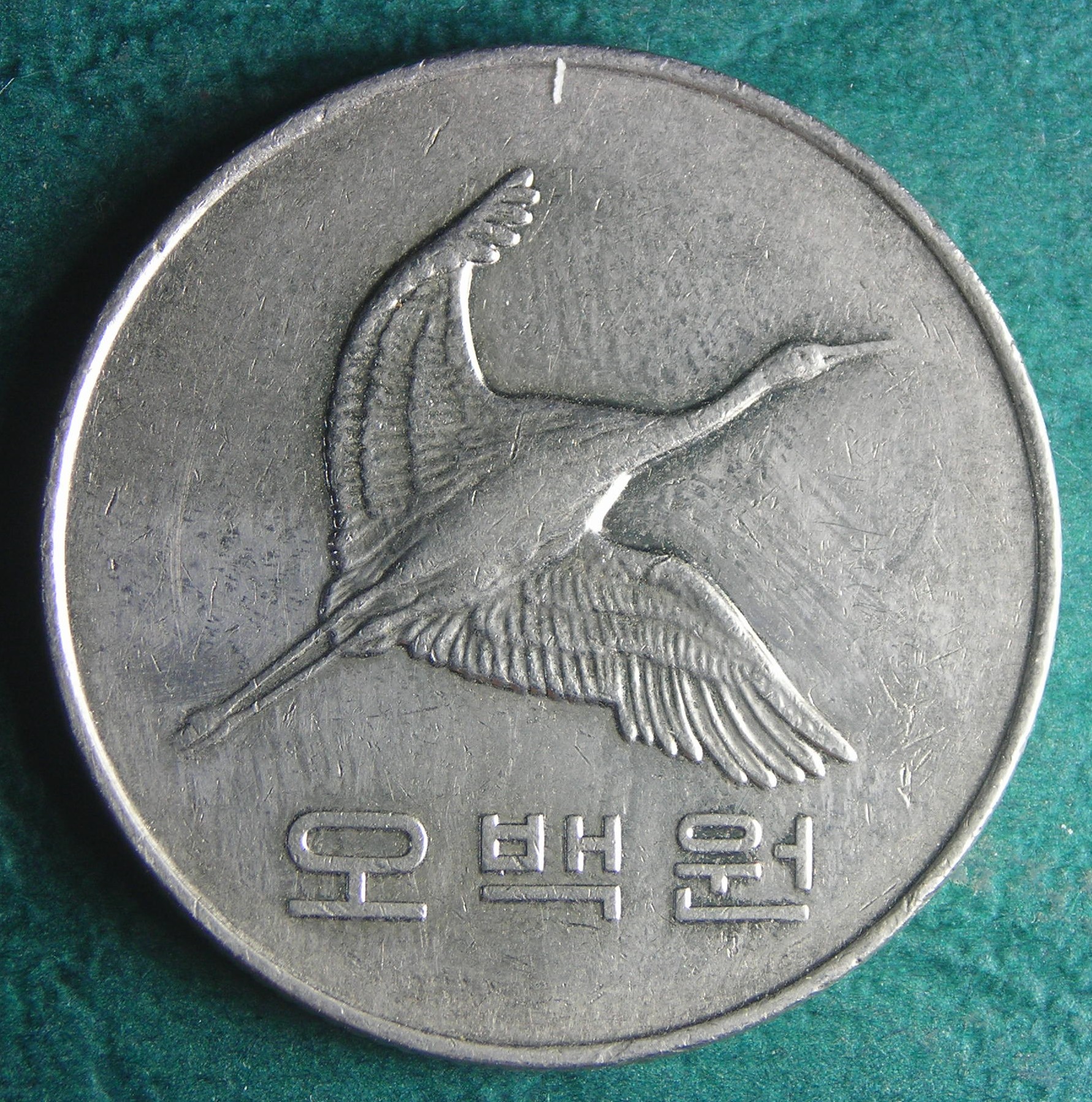 2008 KR 500 w obv.JPG