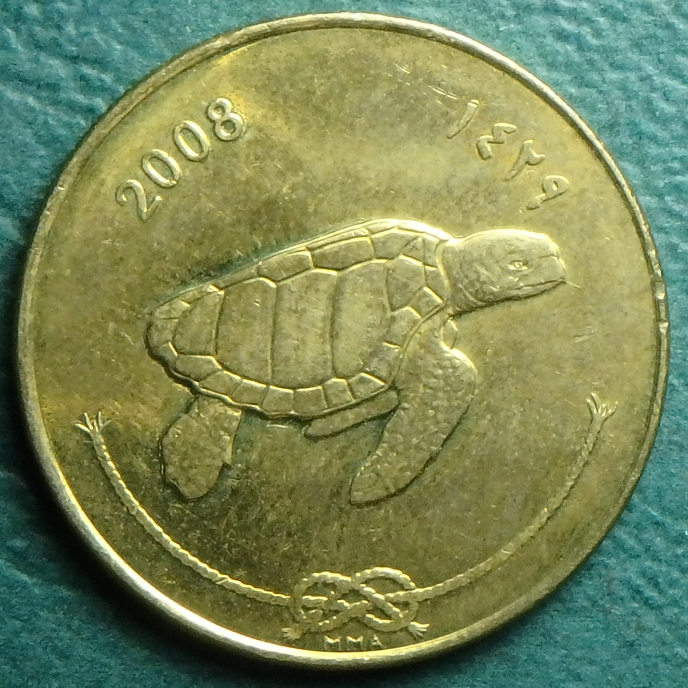 2008 MV 50 l obv.JPG
