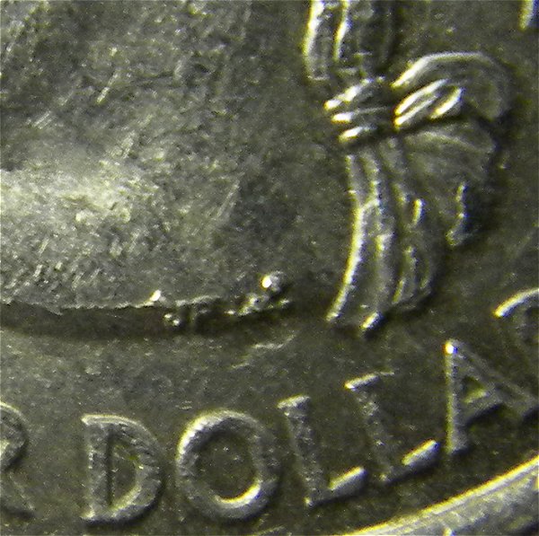 2008 p Alaska State Quarter (CloseUpObverse).jpg