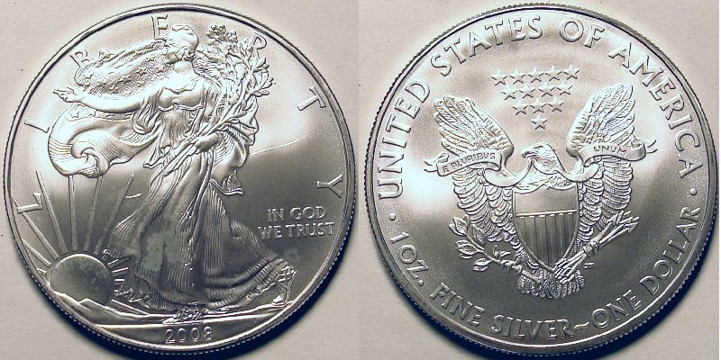 2008 Silver Eagle.jpg