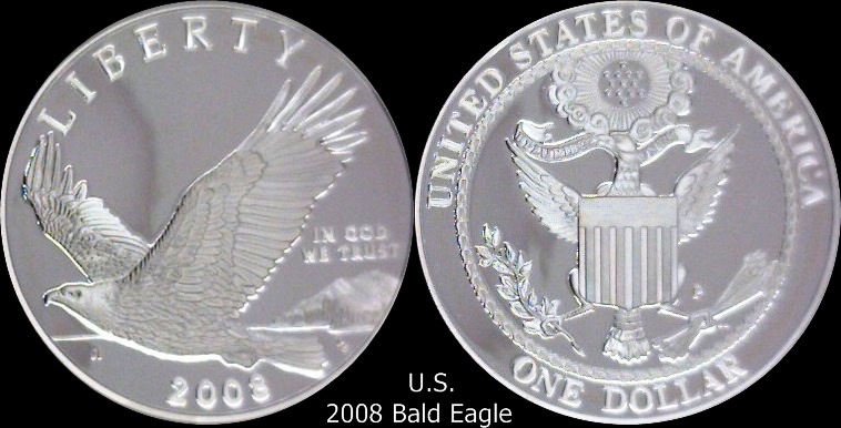 2008 US Bald Eagle.jpg