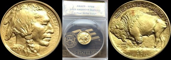 2008-W $5 GOLD UNCIRCULATED AMERICAN BUFFALO 2-horz.jpg