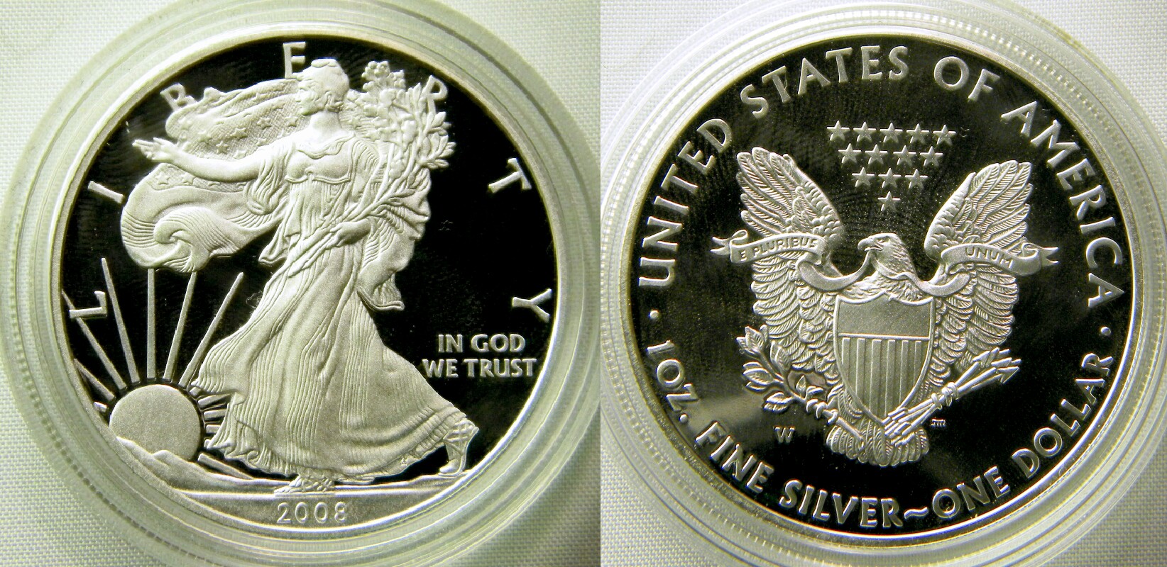 2008 W Eagle.jpg