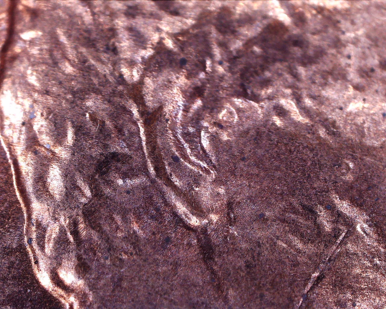 200826143018353.jpg