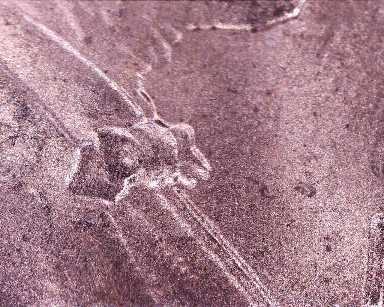 200830001317982.jpg
