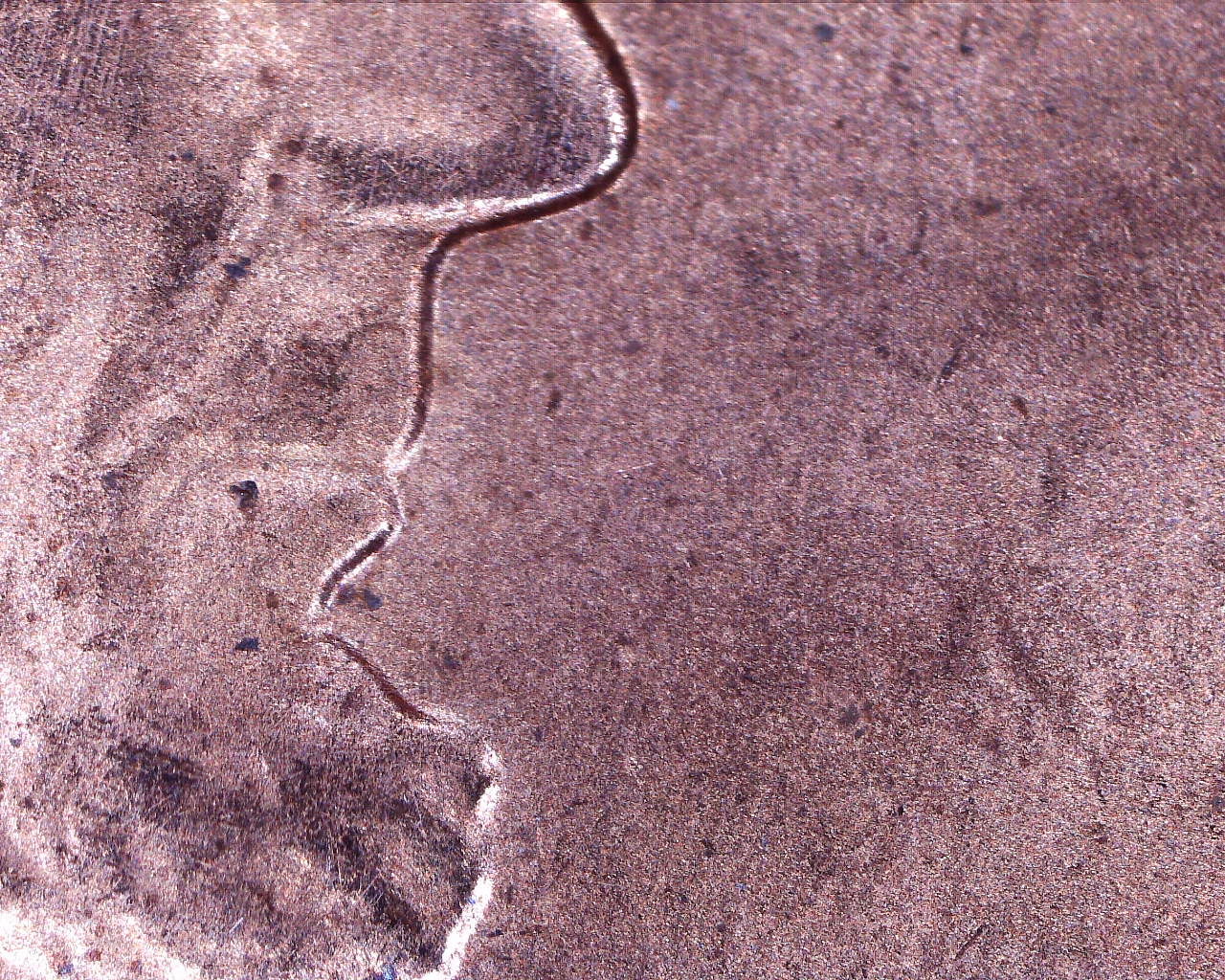 200830001934443.jpg