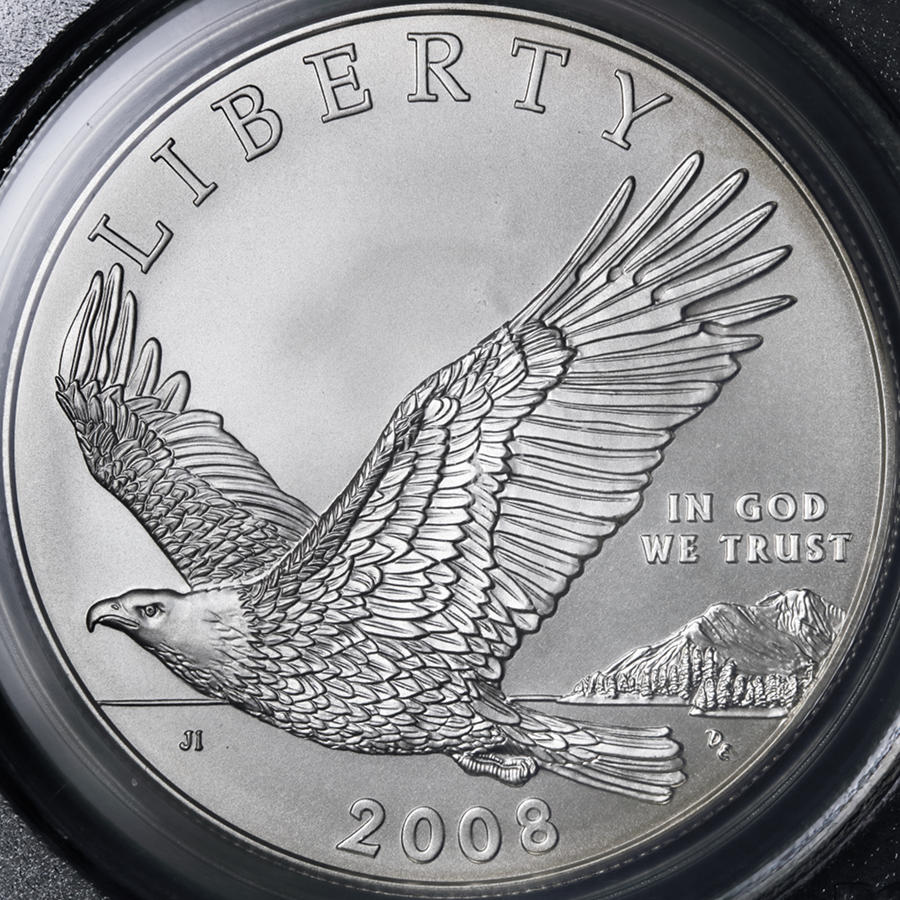 2008_US_1dollar_Bald_Eagle_mmP_1o_DPP_2017_01_09__0118.jpg
