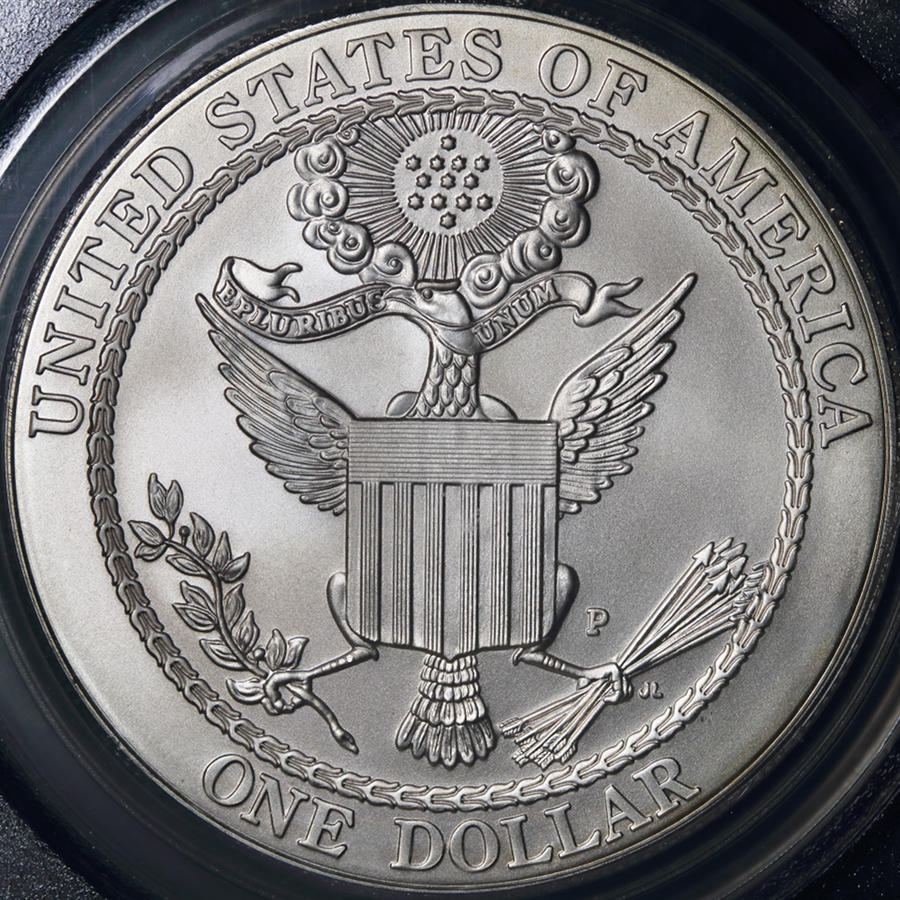 2008_US_1dollar_Bald_Eagle_mmP_1r_DPP_2017_01_09__0122.jpg