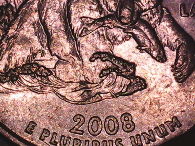 2008D6.jpg