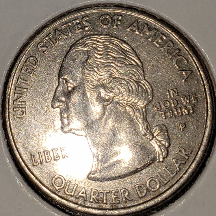2008extra cactus01.jpg
