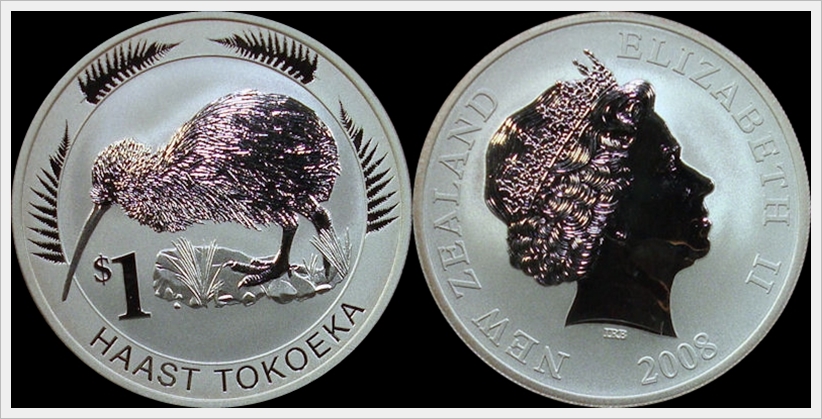2008kiwi.jpg