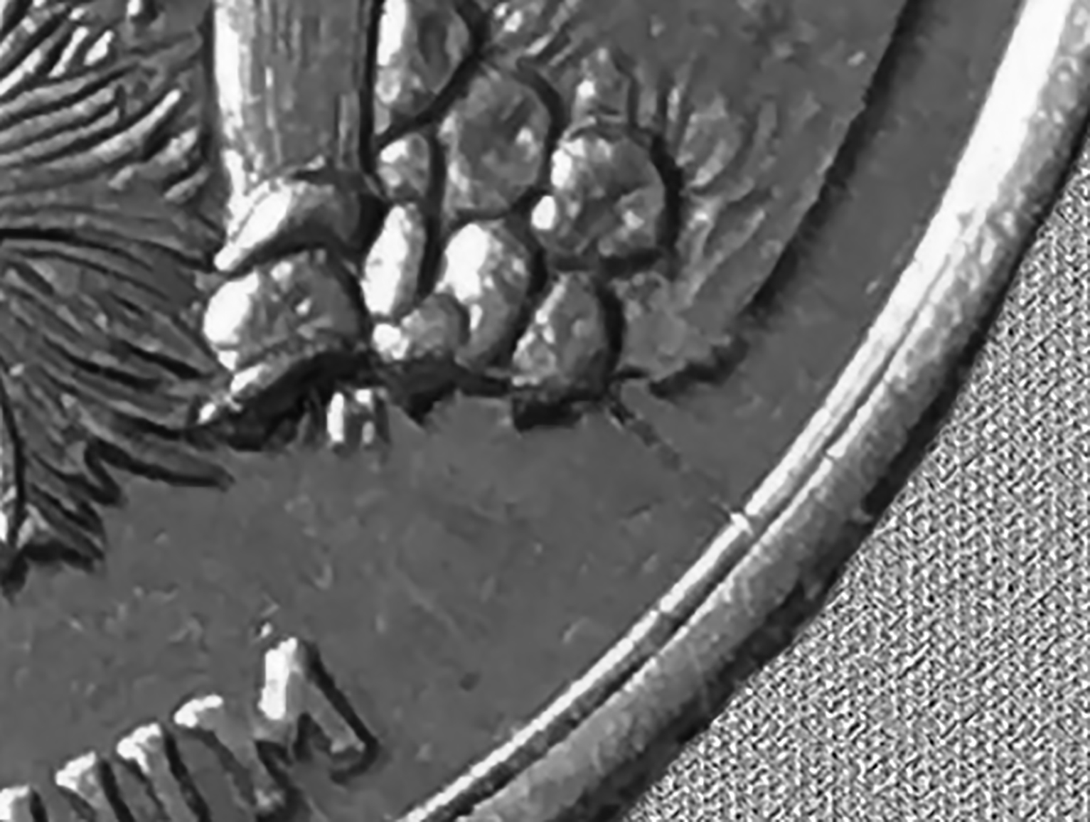 2008revcropped.jpg