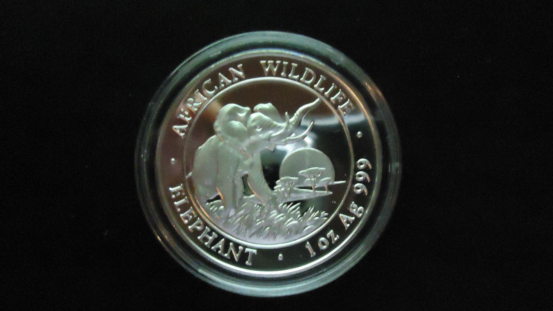 2009.JPG