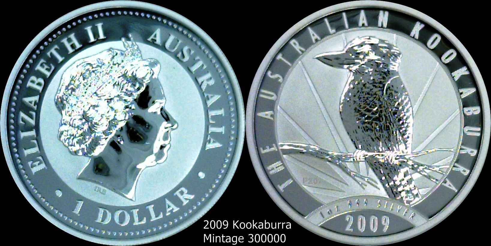 2009 Kookaburra.jpg
