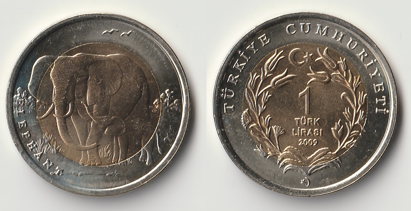 2009 turkey 1 lirasi.jpg