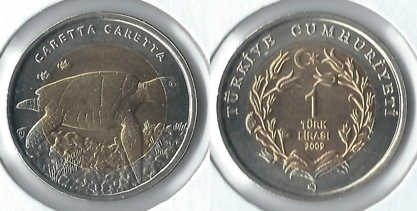2009 turkey 1 lirasi turtle.jpg